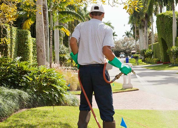 About Niland CA Pest Control Pros